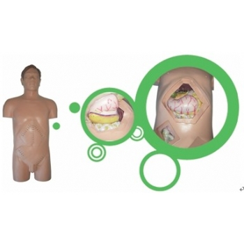 JD-WSS型外科手術(shù)技能訓(xùn)練仿真模型