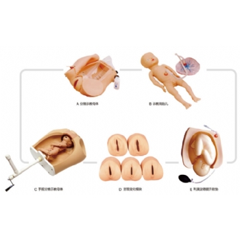 高級(jí)腹部觸診、分娩機(jī)轉(zhuǎn)綜合模型